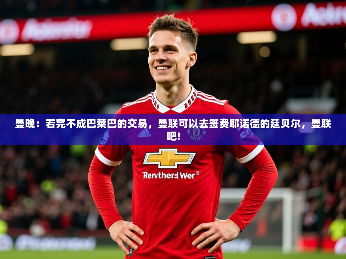 2025曼晚：若完不成巴莱巴的交易，曼联可以去签费耶诺德的廷贝尔，曼联吧!  第2张